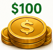 $100 Partner Plan